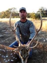 30+ inch Axis Buck