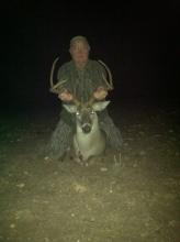 Whitetail