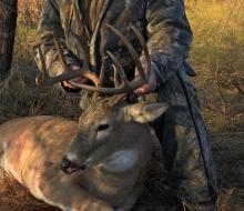 2019 Bucks