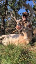 White fallow
