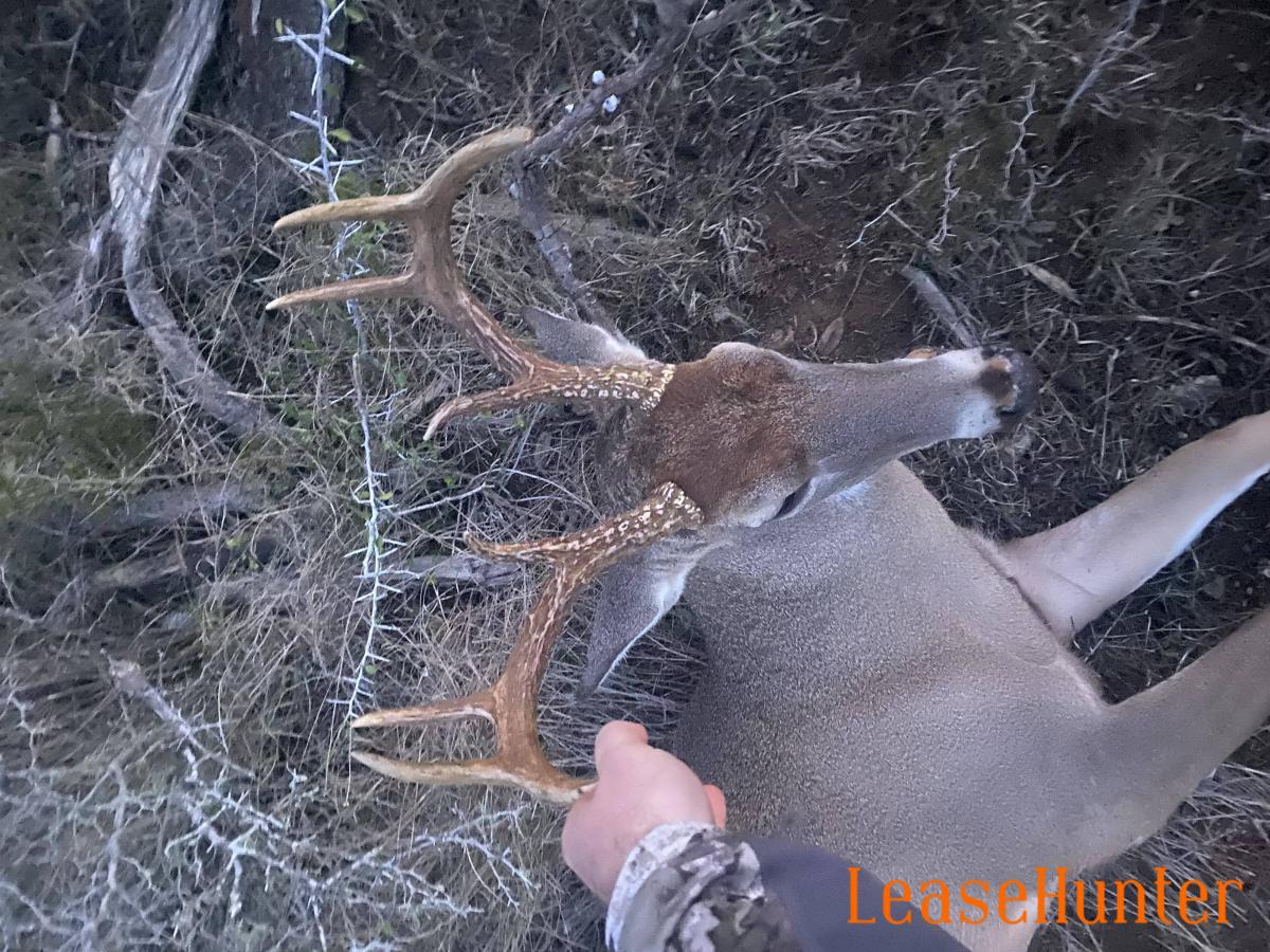 Buck I got this year