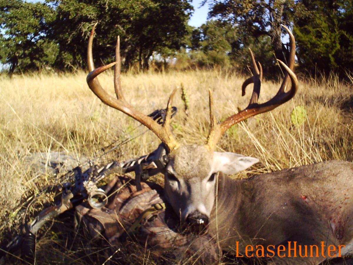 Deeraging