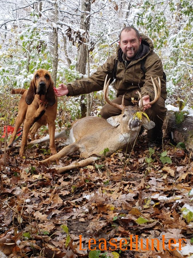 Deer