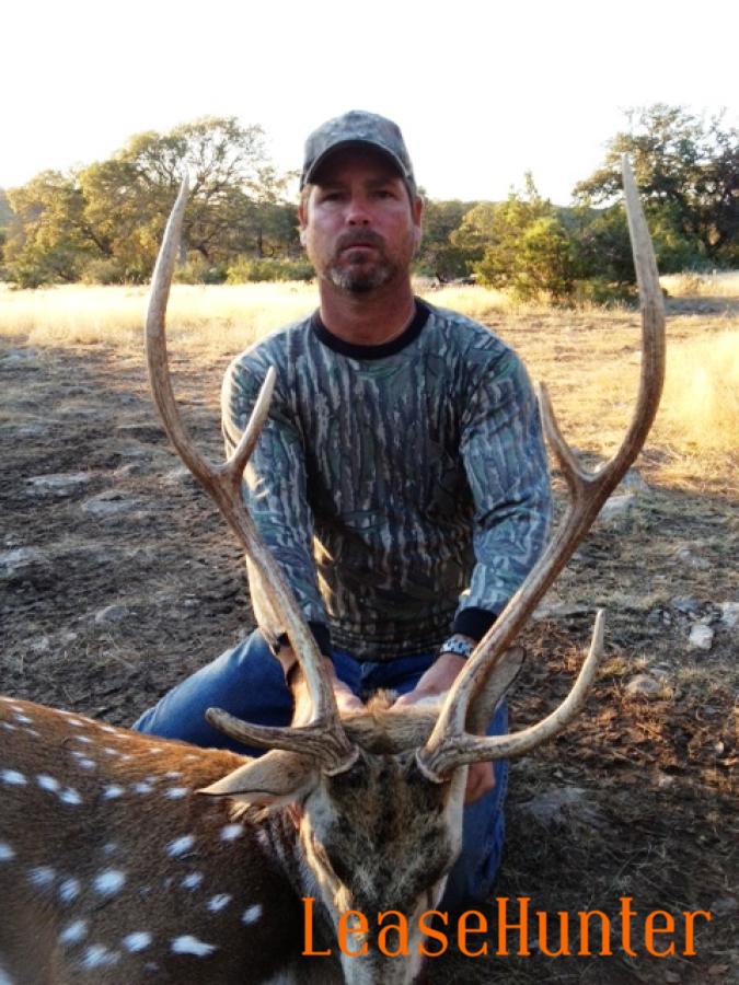 30+ inch Axis Buck