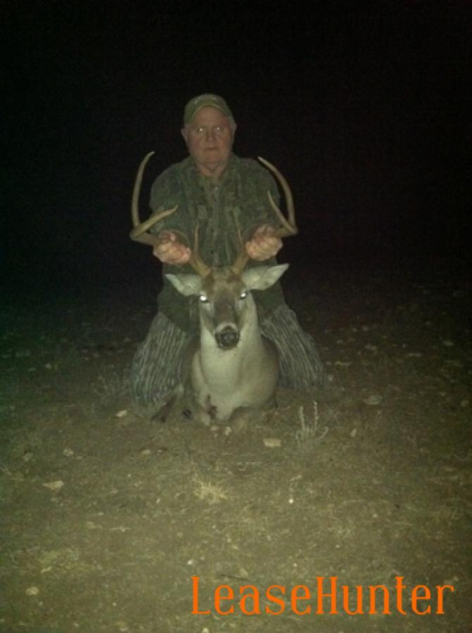 Whitetail