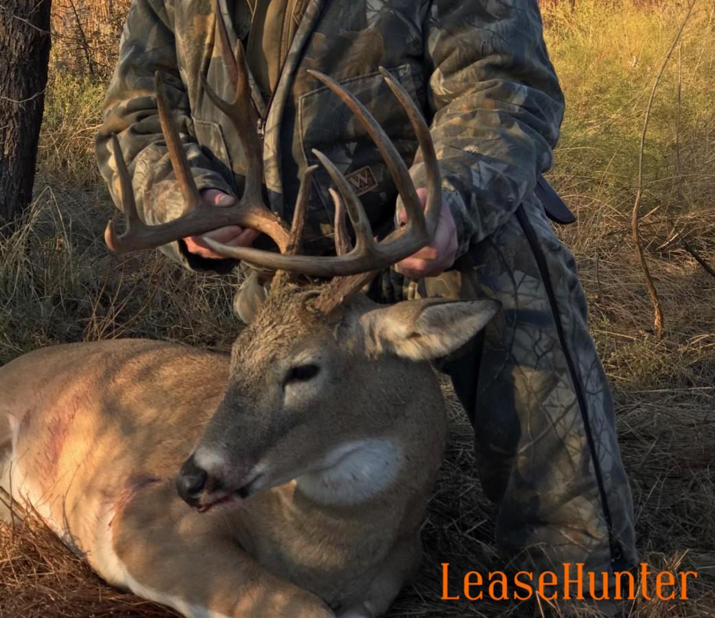 2019 Bucks