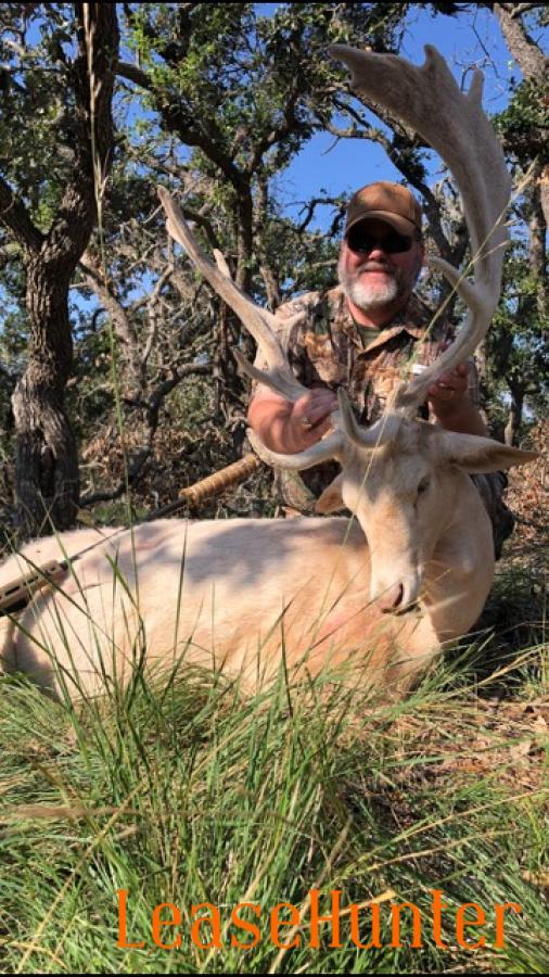 White fallow