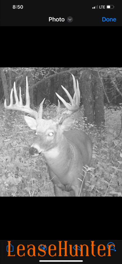 Big boy!