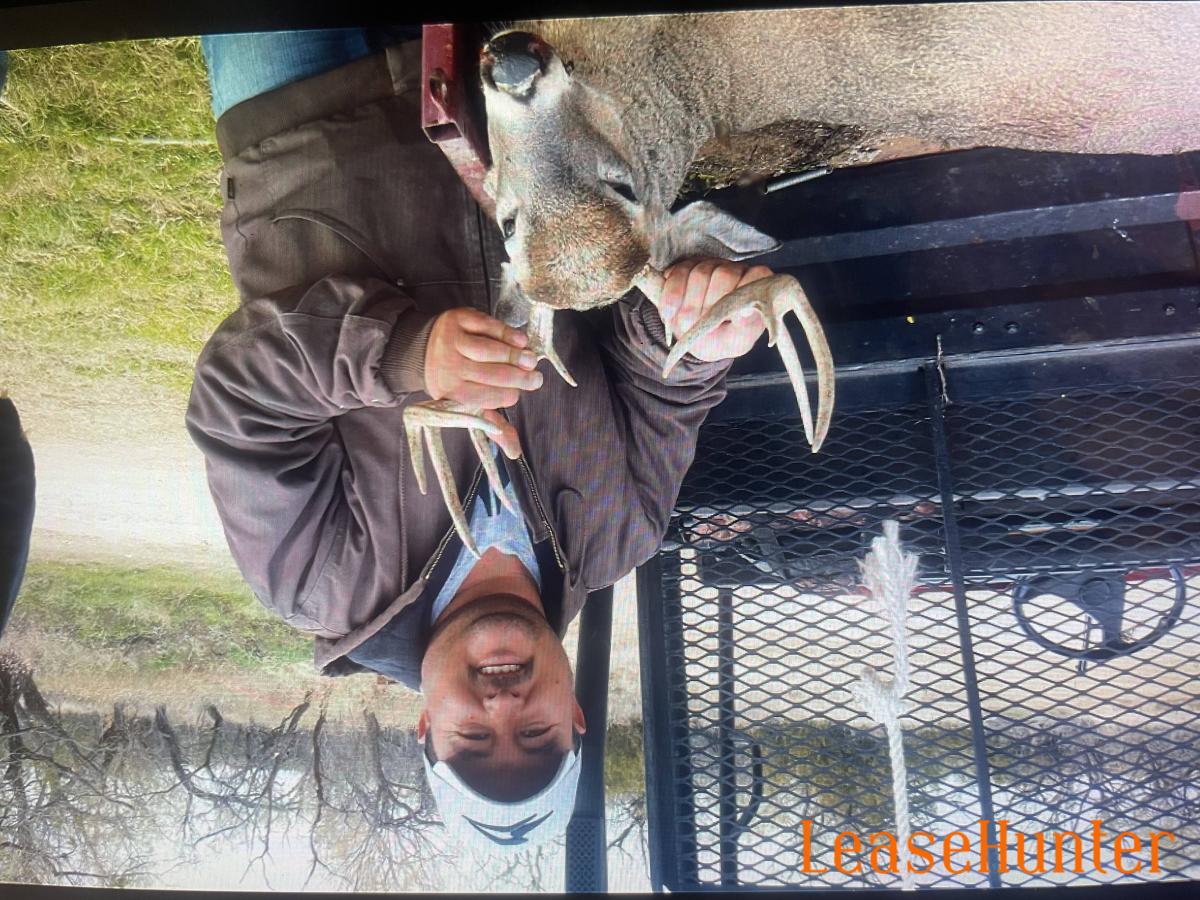 10 point