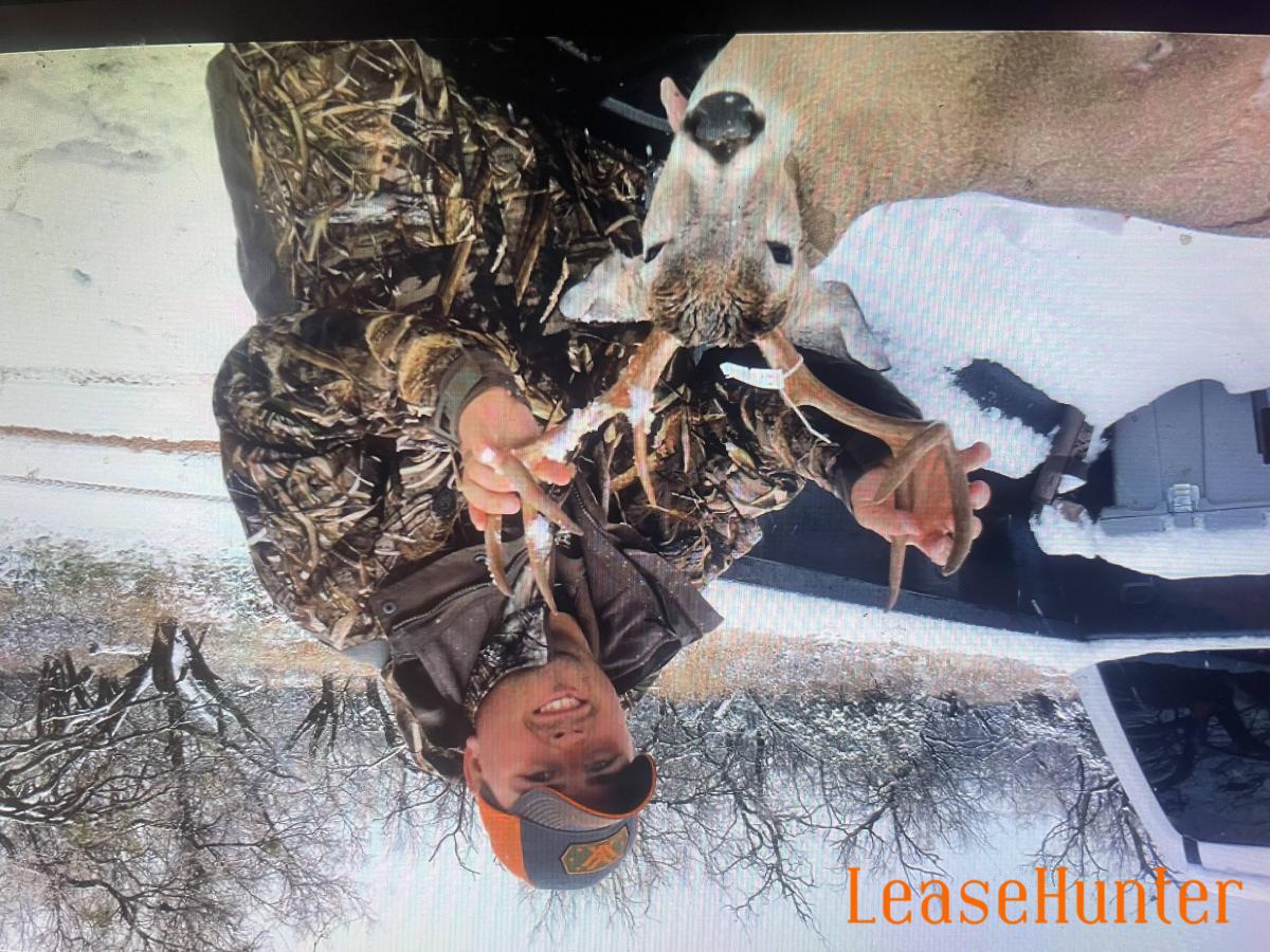 8 point