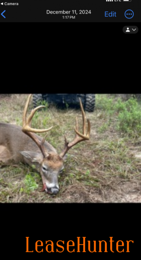 East Texas hunting lease buck