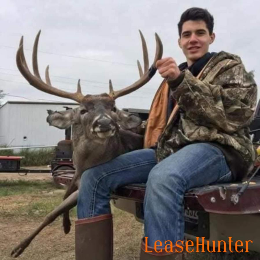 BUCK #3