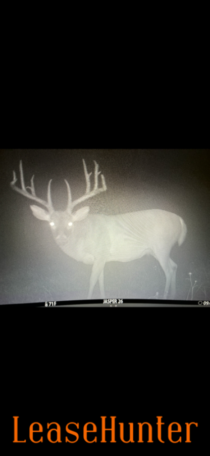 Buck 1