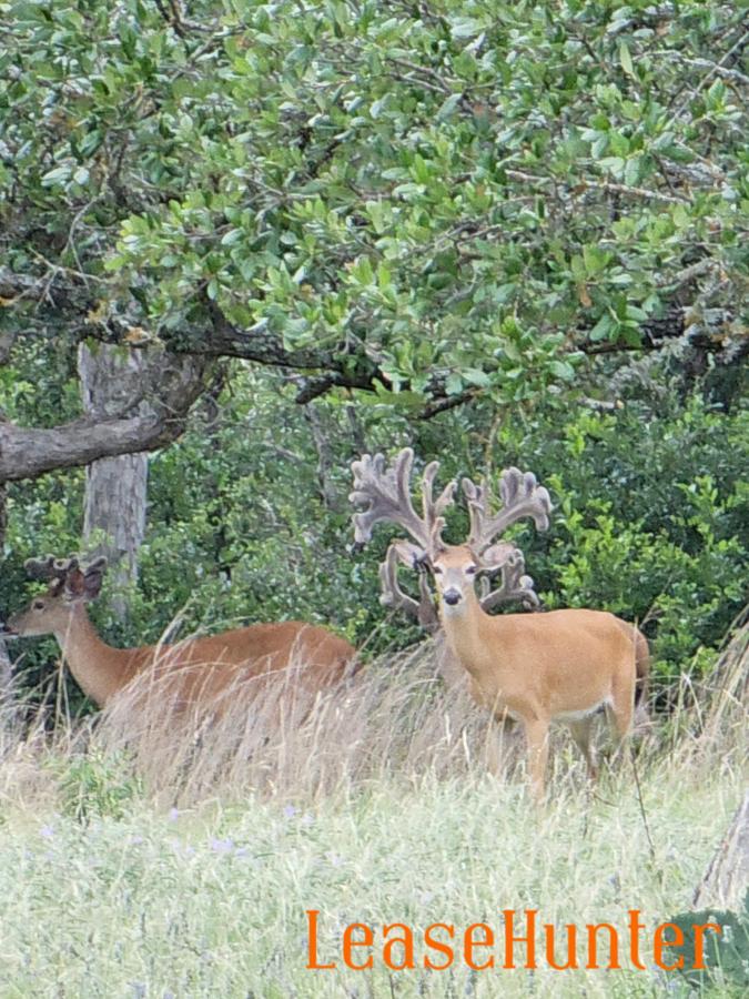 Come hunt with us you won’t be sorry you did😊