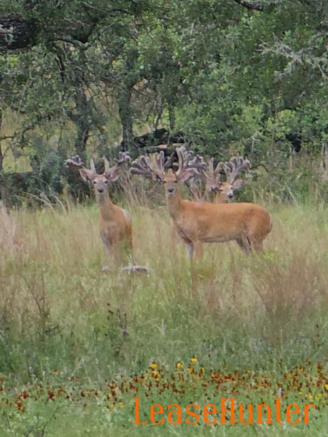 Come and see us for a hunt of a lifetime!!