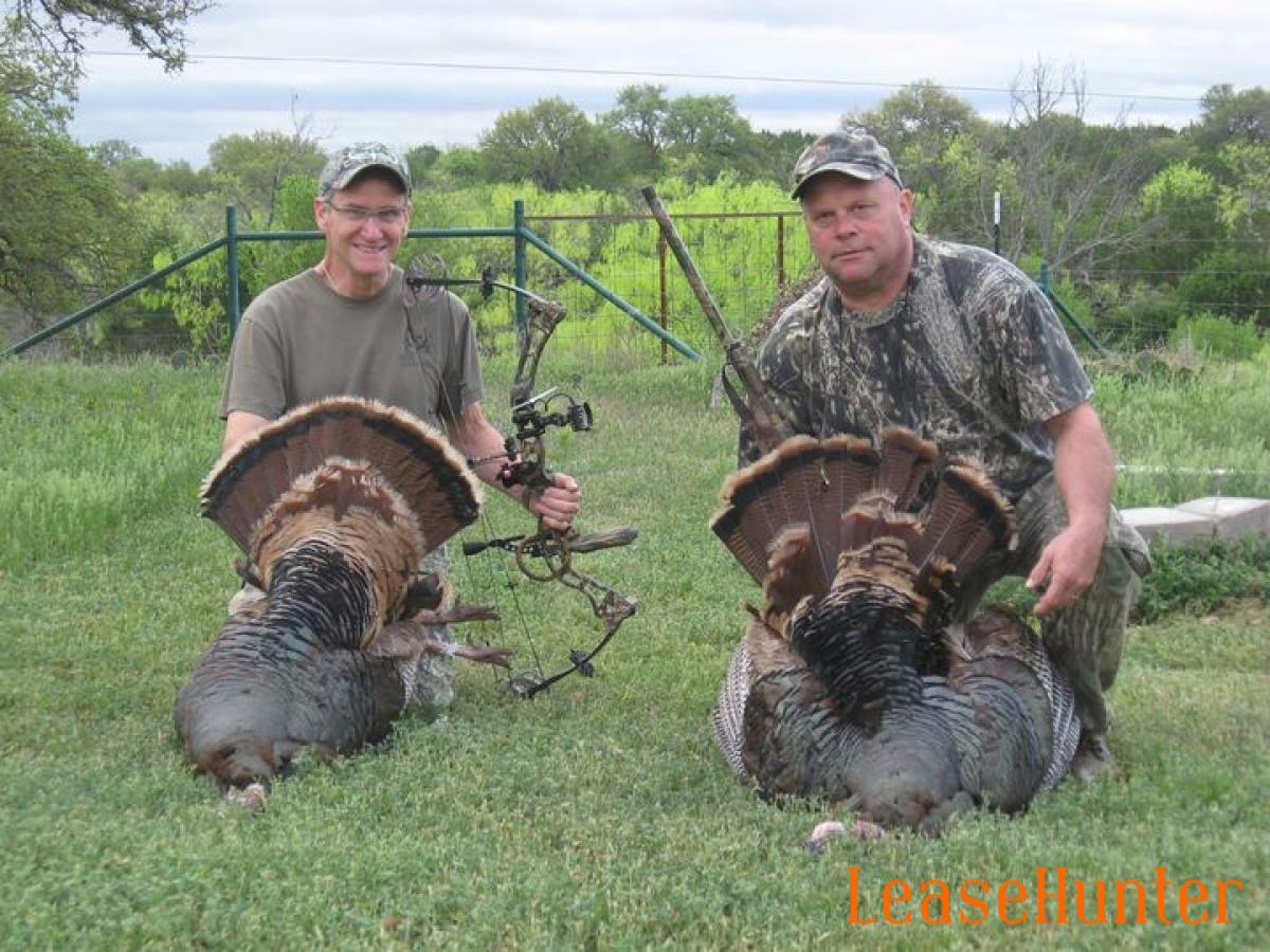 Archery and Shotgun bring them home on the K-9 Ranch