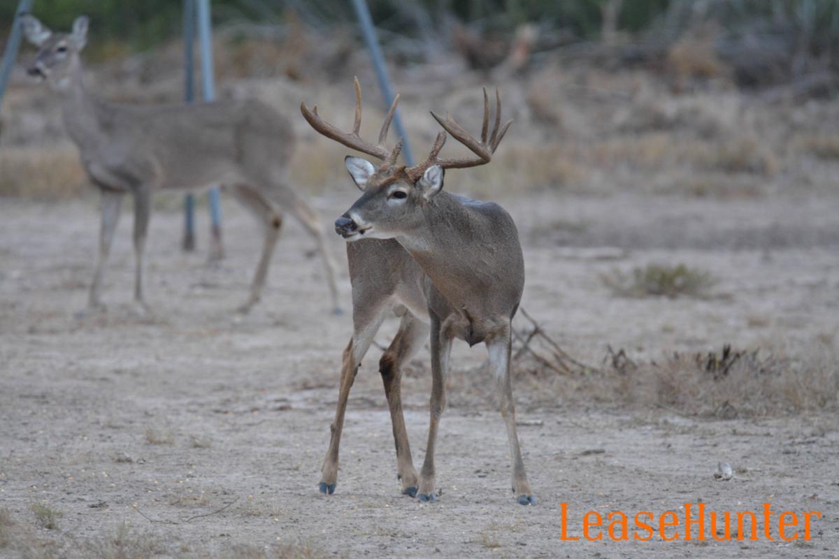 South Texas