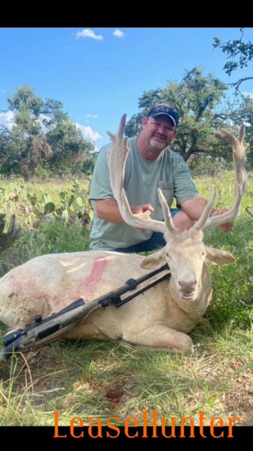 Trophy White Fallow