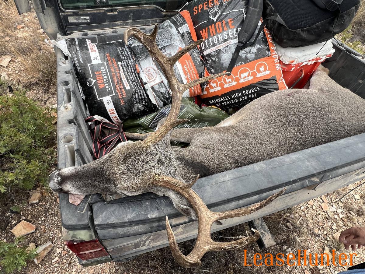 One of the trophies shot this year.   This buck was 6.5 years old