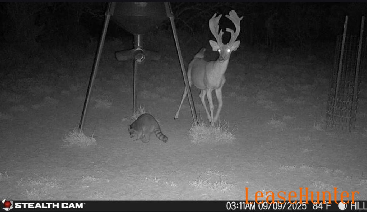 Picture 1