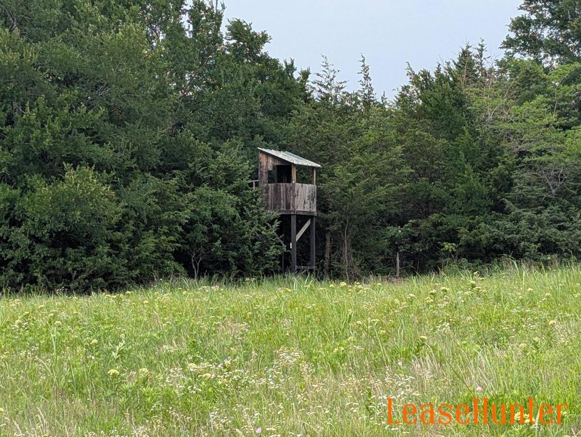 Deer blind