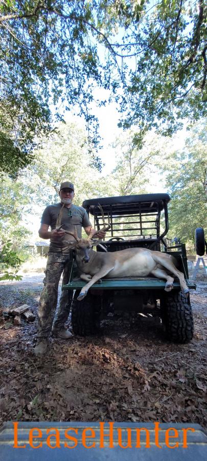 Bucks