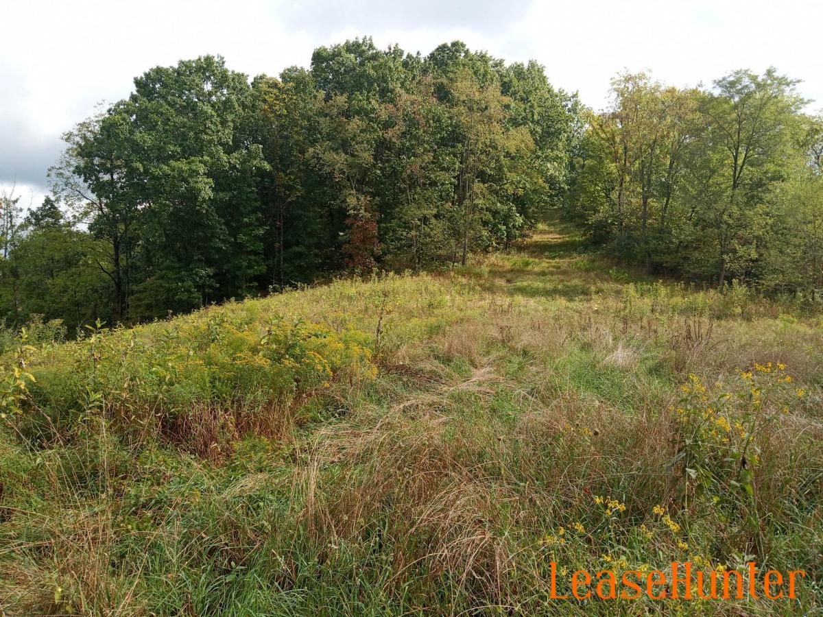 Field on ridge